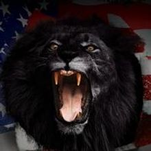 Carlos Violato Releases BLACK LION