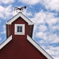Westport Country Playhouse Kicks Off 2013-14 Family Festivities Series Today