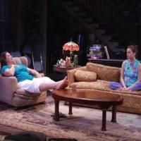 TV: First Look at Highlights of Victory Gardens' APPROPRIATE