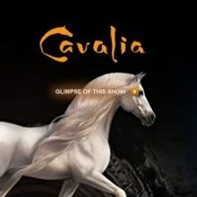 Cavalia Extends in Sydney Through June 26
