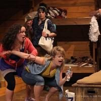 Last Chance to See FAIR GAME at Yellow Tree Theatre, Now Through 5/4