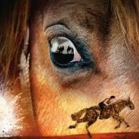 Grandiose Theaterpremiere: Das englische Erfolgsstück WAR HORSE spielt jetzt in…