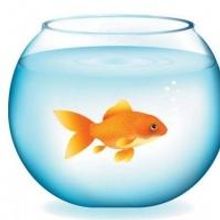 MARE IN THE MEN'S ROOM Begins Tonight at the American Theatre of Actors