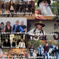 Hillbilly Woodstock Announces 2015 Festival Lineup; Runs 7/31 & 8/1