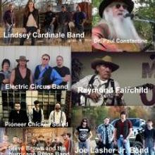 Hillbilly Woodstock Announces 2015 Festival Lineup; Runs 7/31 & 8/1