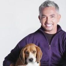 Dog Whisperer Cesar Millan Comes to the Van Wezel Tonight