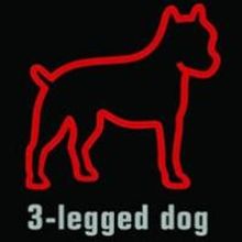 3 Legged-Dog Launches New Salon Series with 3LD SALON: THE VIDEO DESIGNER Tonight