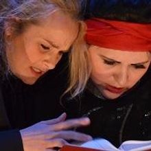 BWW Reviews: THE SHEPHERD'S CHAMELEON, The CLF Art Cafe at The Bussey Building, May 1