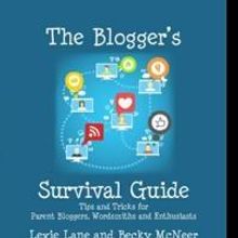 Small Press Releases THE BLOGGER'S SURVIVAL GUIDE