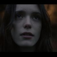 VIDEO: New Trailer for Lars von Trier's NYMPHOMANIAC