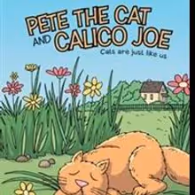 New YA Fiction is Released