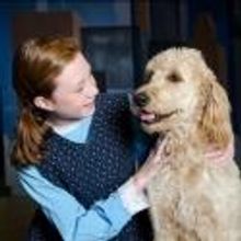 Photo Flash: DreamWrights Youth & Family Theatre Opens ANNIE Tonight