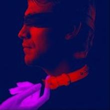 VENUS IN FUR Opens Rep Stage's 2014-15 Season Tonight