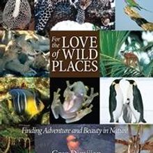 Brown Books Presents 'Holiday Reading Roudup 2013'