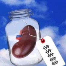 USELESS, Directed by Jose Zayas, Begins 8/14 at IRT Theater