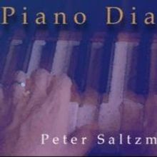 Peter Saltzman Brings One-Man Show PIANO DIARIES to the Athenaeum, Now thru 7/6