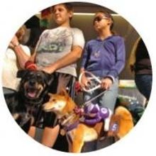 Pet ResQ to Host 4th Annual Woofstock, 10/27