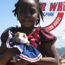 2013 Pet Day and Pet Costume Contest Set for Deno's Wonder Wheel Park Today