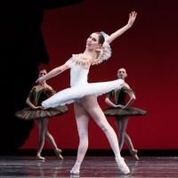 The Houston Ballet Presents Three Free Performances at Miller Outdoor Theatre This…