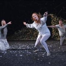 Photo Flash: First Look at Cal Shakes' A MIDSUMMER NIGHT'S DREAM