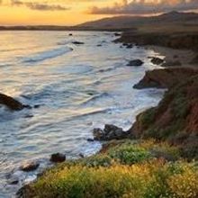 Eat, Drink and Be Merry; Celebrate the Season with Coastal Flair in Cambria, CA