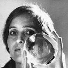 Jacaranda's HALLUCINATION is Centerpiece in 3-Event Tribute to Artist Mary Bauermeist