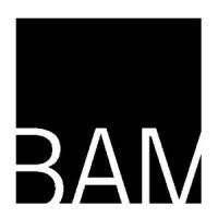 BAM Announces 34 Events in Opera, Theater, Music and Dance for 2013 Next Wave…