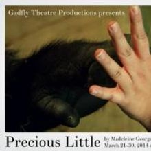 Gadfly Theatre Productions to Stage PRECIOUS LITTLE, 3/21-30