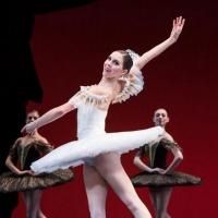 Houston Ballet to Perform Series of Free Performances at Miller Outdoor Theater in…
