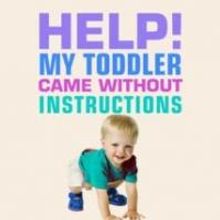 Blythe Lipman Releases 'Help! My Toddler Came Without Instructions'