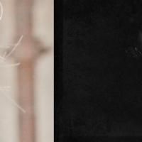 BWW Reviews: MISS HAVISHAM'S EXPECTATIONS AND SIKES AND NANCY, Trafalgar Studios…