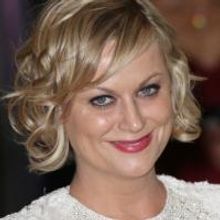 Amy Poehler, Jerry Seinfeld & More Set for Vulture Festival