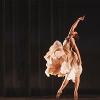 Wonderbound Announces Its 2014-2015 Season, Which Includes SERENADE FOR STRINGS…