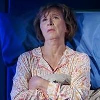 BWW Reviews: Live From New York, It's LOVE AND INFORMATION