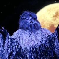 Kenneth Prymus and More Star in North Carolina Theatre's CATS, Now thru 10/13