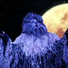 Kenneth Prymus and More Star in North Carolina Theatre's CATS, Now thru 10/13