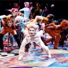 Theatre by the Sea Presents CATS, Now thru 7/13