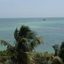 BWW Reviews: Florida Keys to My Heart