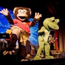 The Bossy Frog Band Returns to WPPAC Today