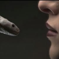 VIDEO: AMERICAN HORROR STORY: COVEN Releases New 'Slither' Promo