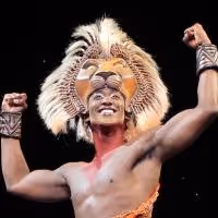 BWW Reviews: THE LION KING Tour Captivates Memphis