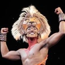 BWW Reviews: THE LION KING Tour Captivates Memphis