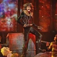 BWW Reviews: Paramount's CATS Offers High-Quality Entertainment Photo