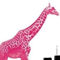 Magenta Giraffe Theatre Company to Close in July 2015