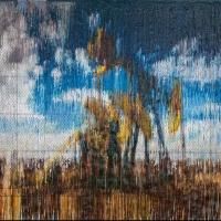 Anna Zorina Gallery Presents DESCENDANTS, Featuring Bradley Hart, Now thru 4/4