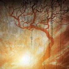 Union Theatre to Present World Premiere of DUNCTON WOOD