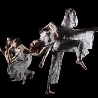 The University Musical Society Presents the Trisha Brown Dance Company This Weekend