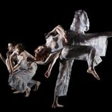 The University Musical Society Presents the Trisha Brown Dance Company This Weekend