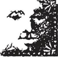 Dollar Bank Three Rivers Arts Festival Programming Announced