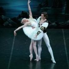 SWAN LAKE to Swim Into Melbourne; Season Begins, 6/20/15